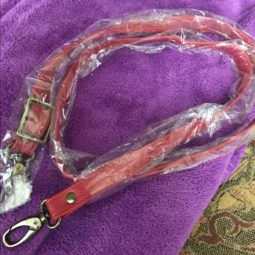 Purse belt